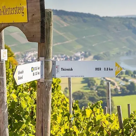 Holiday home Mit Whirlpool Und Sauna Bernkastel-Kues