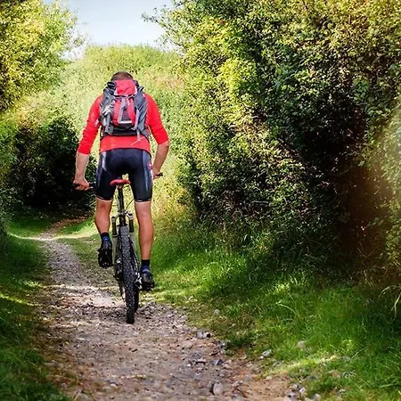 Mit Whirlpool Und Sauna Holiday home