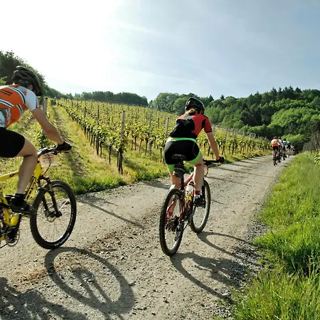 Mit Whirlpool Und Sauna * Bernkastel-Kues